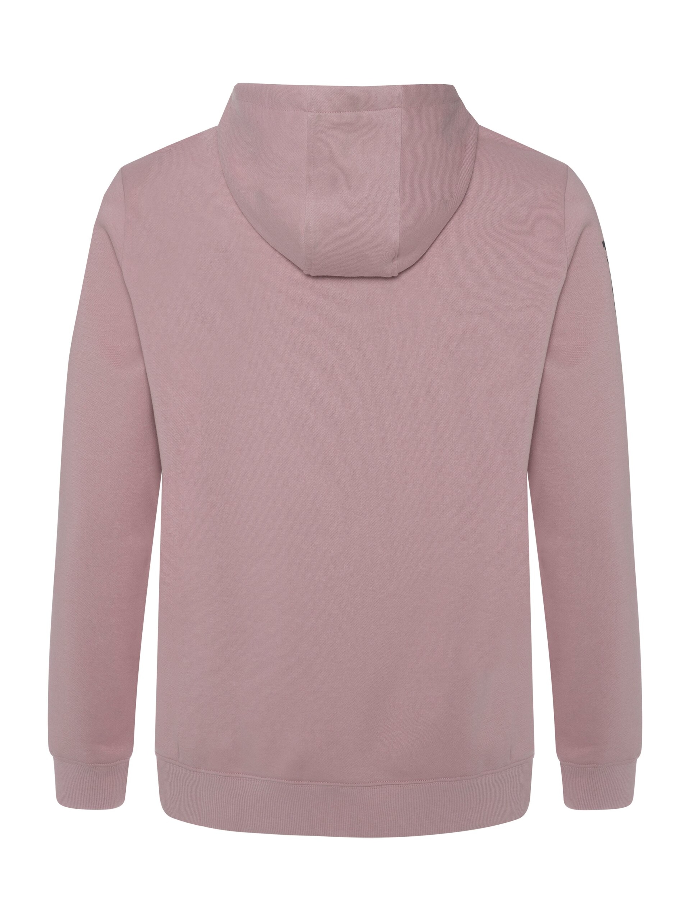 PROTEST Sweater 'CLASSIC LOGO HOODY' in Pink