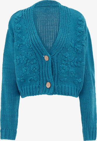 Cardigan MYMO en bleu : devant