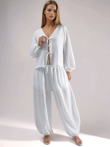 Hiccup Blouse in White