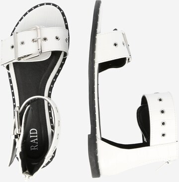 Raid Sandals 'HALLIE' in White