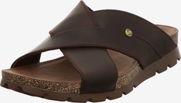 PANAMA JACK Mules in Brown: front