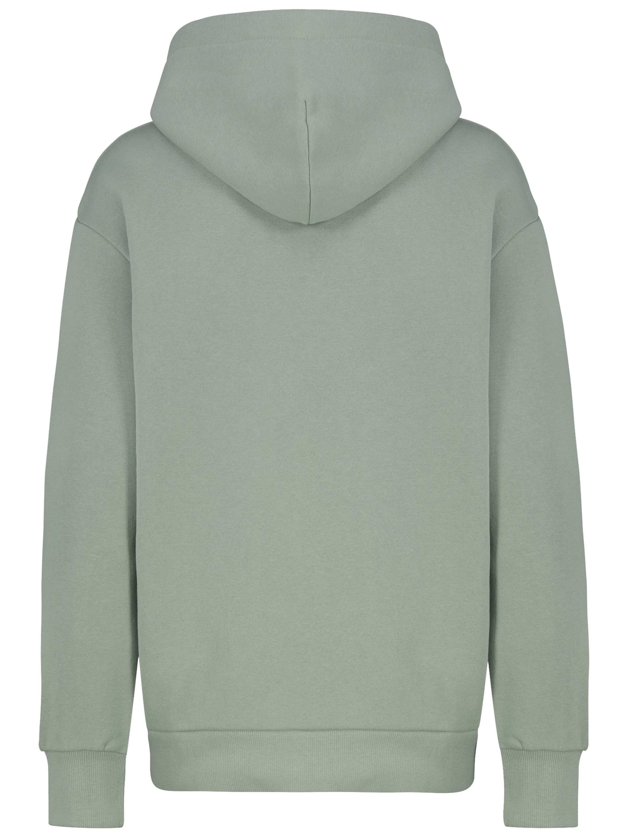 Eight2Nine Sweatshirt in Groen