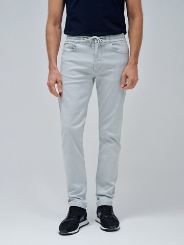 Salsa Jeans Slimfit Hose in Grau: Vorderseite
