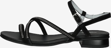 Sandales à lanières Nero Giardini en noir