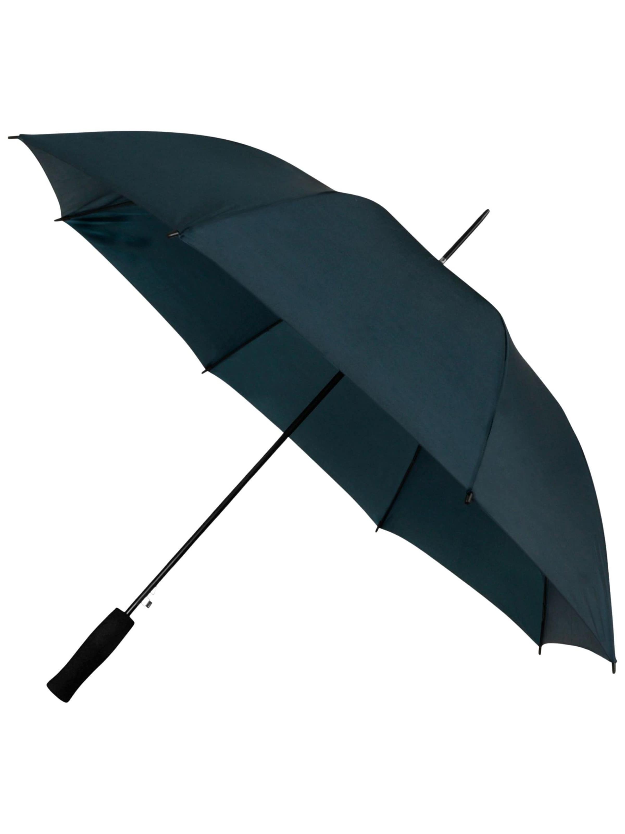 Maxte Umbrella in Blue: front