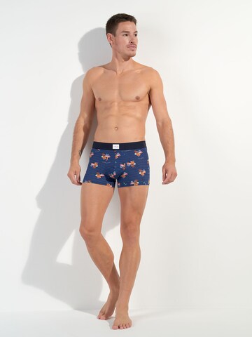 HOM Retro Boxer ' Marinero ' in Blau