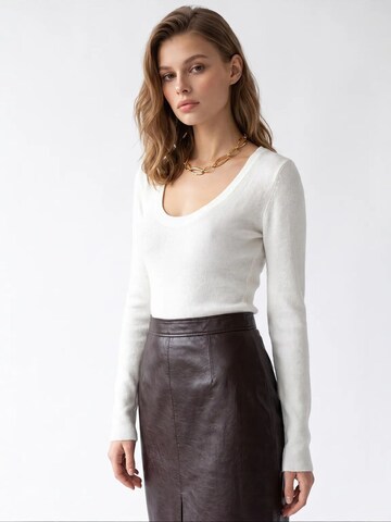 Pullover di MixRay in marrone