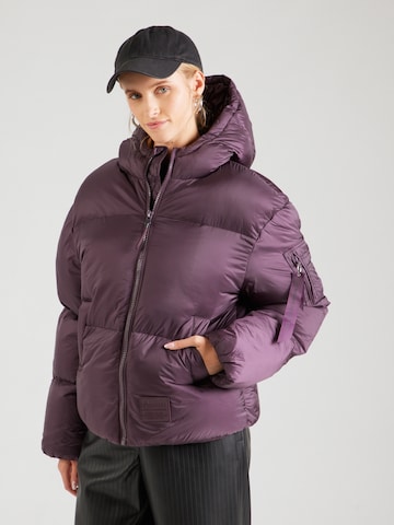ALPHA INDUSTRIES Winterjas in Lila: voorkant