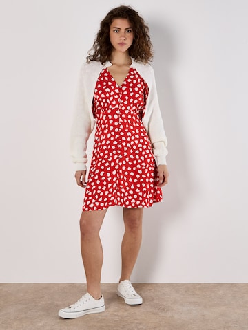 Robe ' ' Apricot en rouge