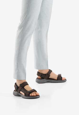 LLOYD Sandals 'ECHO' in Brown: front