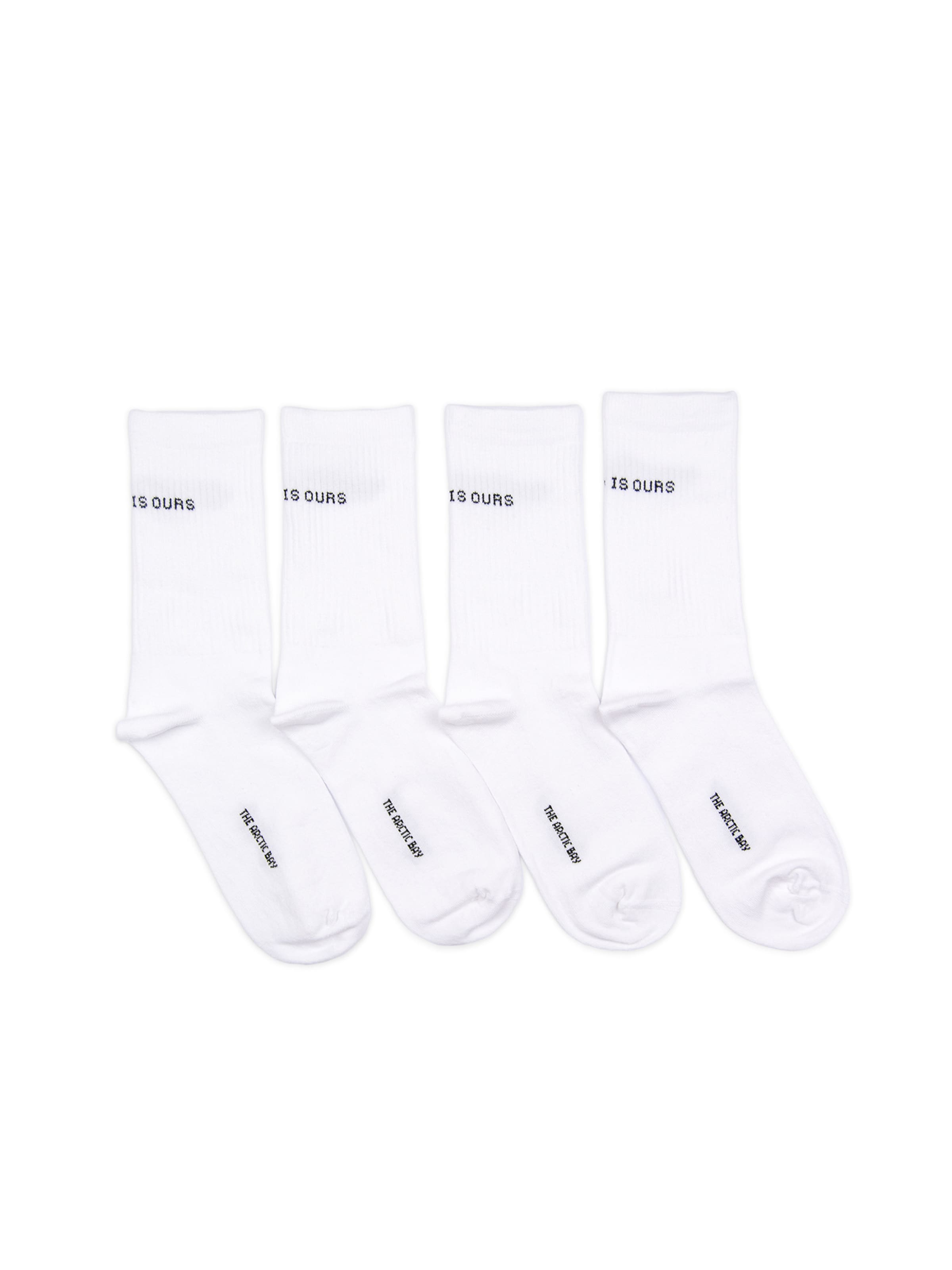 Chaussettes 'WORLD IS EDITION Gift box 4 Pack Unisex' The Arctic Bay en blanc : devant