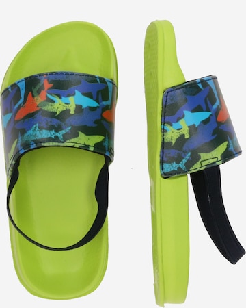 BECK - Zapatos abiertos 'Sealife' en verde