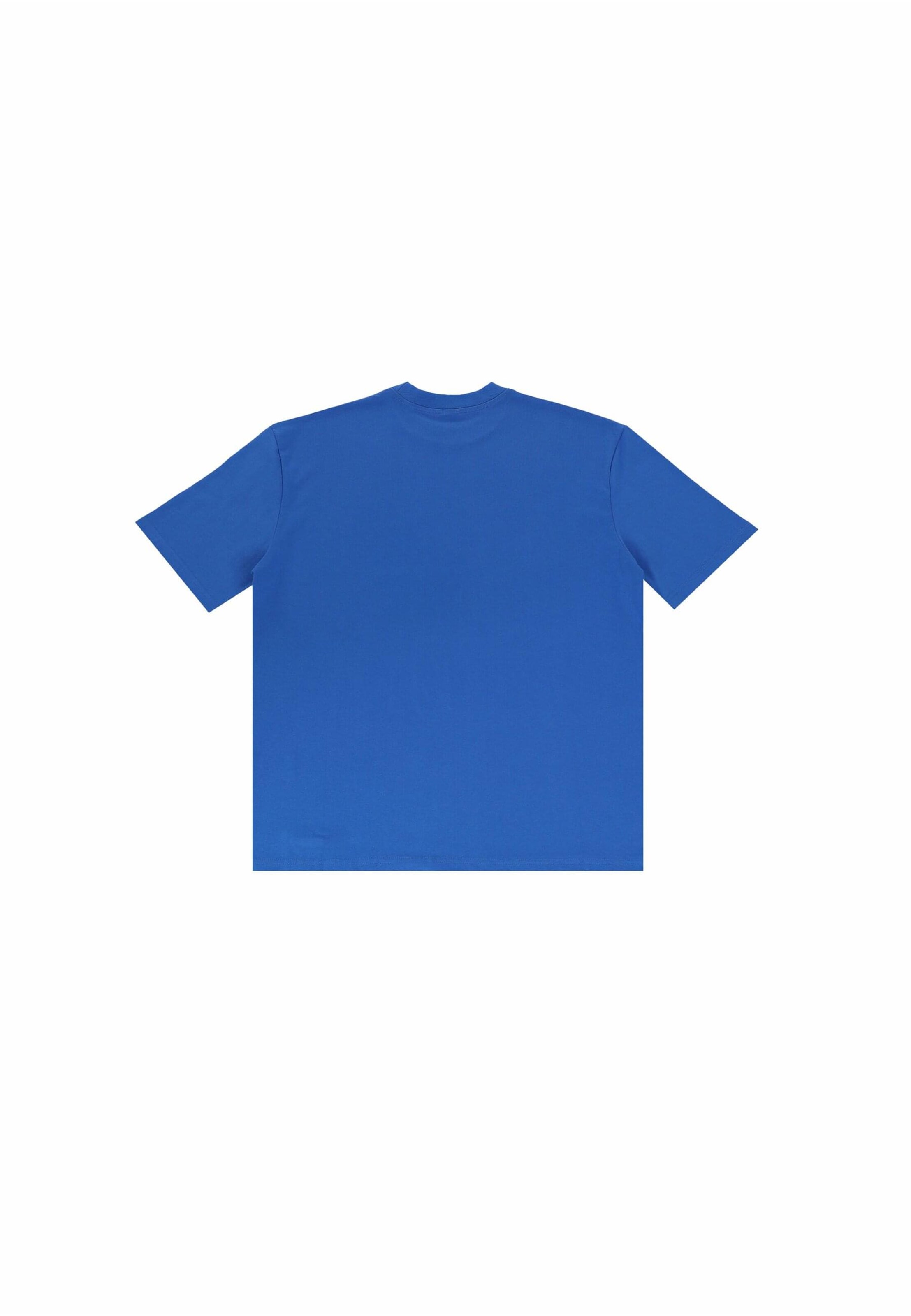 Dropsize Shirt in Blue