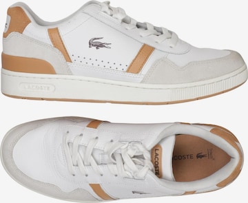 LACOSTE Sneaker 42 in Mischfarben: Vorderseite