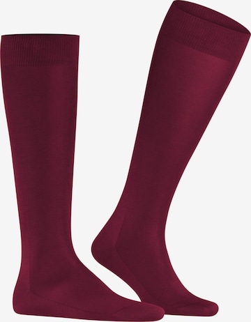 FALKE Knee High Socks 'Tiago' in Red: front
