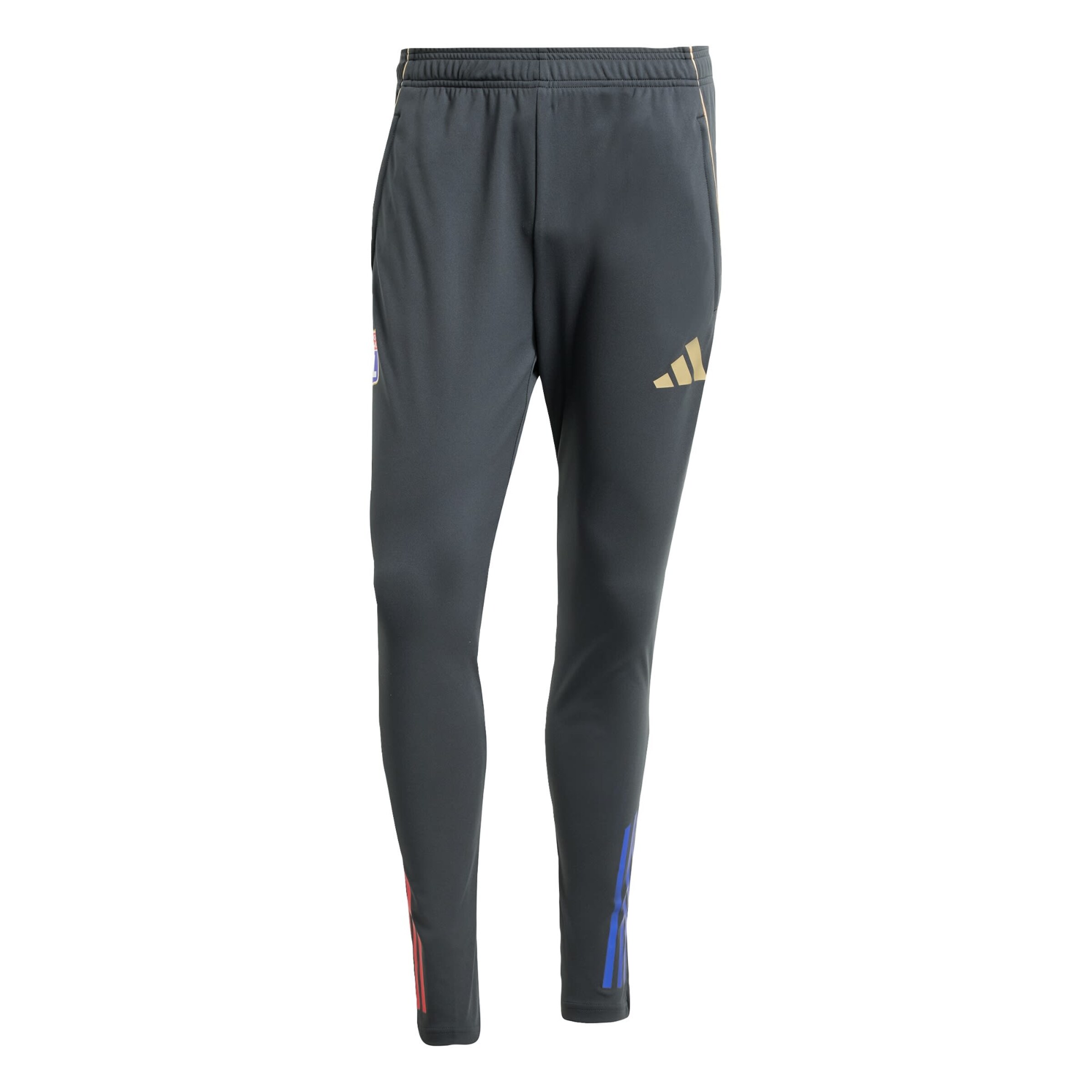 ADIDAS PERFORMANCE - Skinny Pantalón deportivo 'Olympique Lyon Tiro 25 Competition' en gris: frente