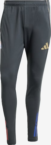 ADIDAS PERFORMANCE - Skinny Pantalón deportivo 'Olympique Lyon Tiro 25 Competition' en gris: frente