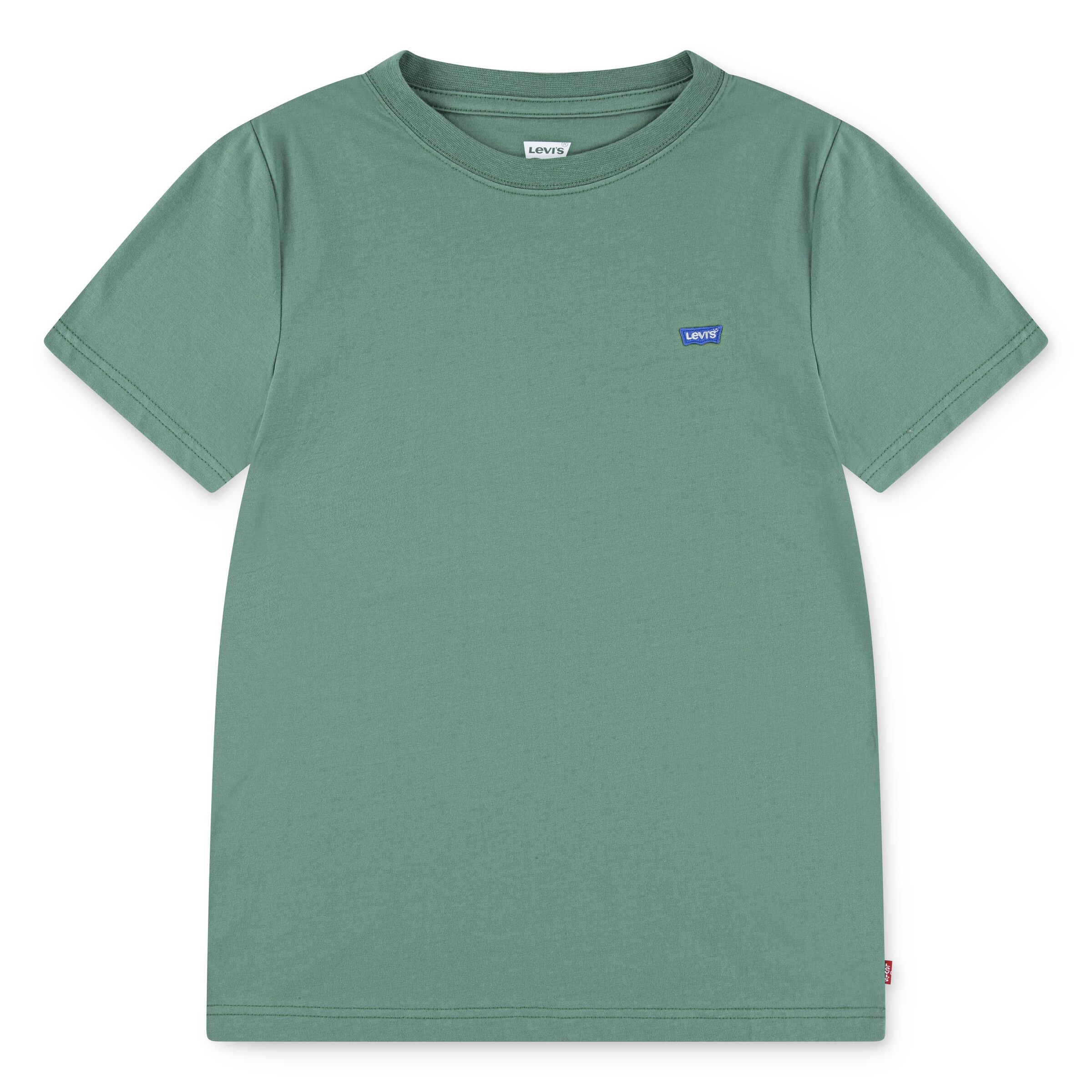 Levi's Kids Shirt in Green: front