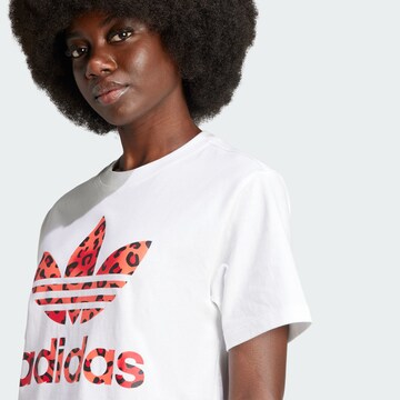 ADIDAS ORIGINALS T-Shirt 'TREFOIL' in Weiß