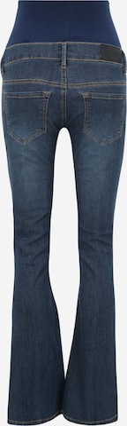 Noppies Flared Jeans 'Senna' in Blue