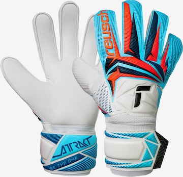 REUSCH Torwarthandschuhe 'Attrakt Solid' in Weiß: Vorderseite