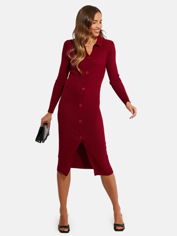 Threadbare Gebreide jurk 'Elm' in Rood