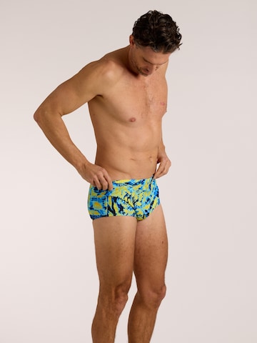 wavebreaker Swim Trunks in Green