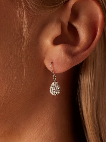 Boucles d'oreilles Lucardi en argent : devant