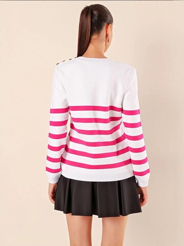 Bigdart Trui in Roze