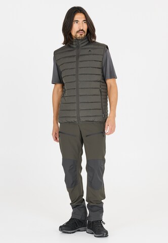 Whistler Regular Outdoor trousers 'Avatar' in Brown