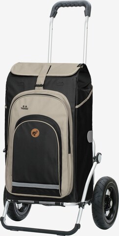 Trolley 'Hydro 2.0' di Andersen Shopper in grigio: frontale