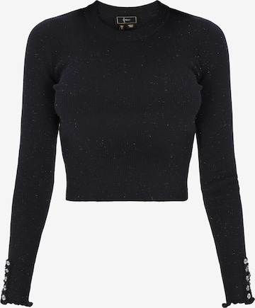 mėlyna faina Megztinis: priekis