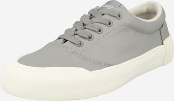 Baskets basses 'ALPARGATA FENIX LACE UP' TOMS en gris : devant