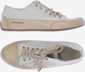 Candice Cooper Sneakers & Trainers in 40 in Beige: front