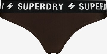 Superdry Bikini Bottoms in Brown: front
