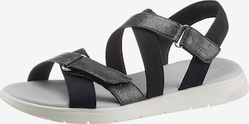 GEOX Sandals in Black: front