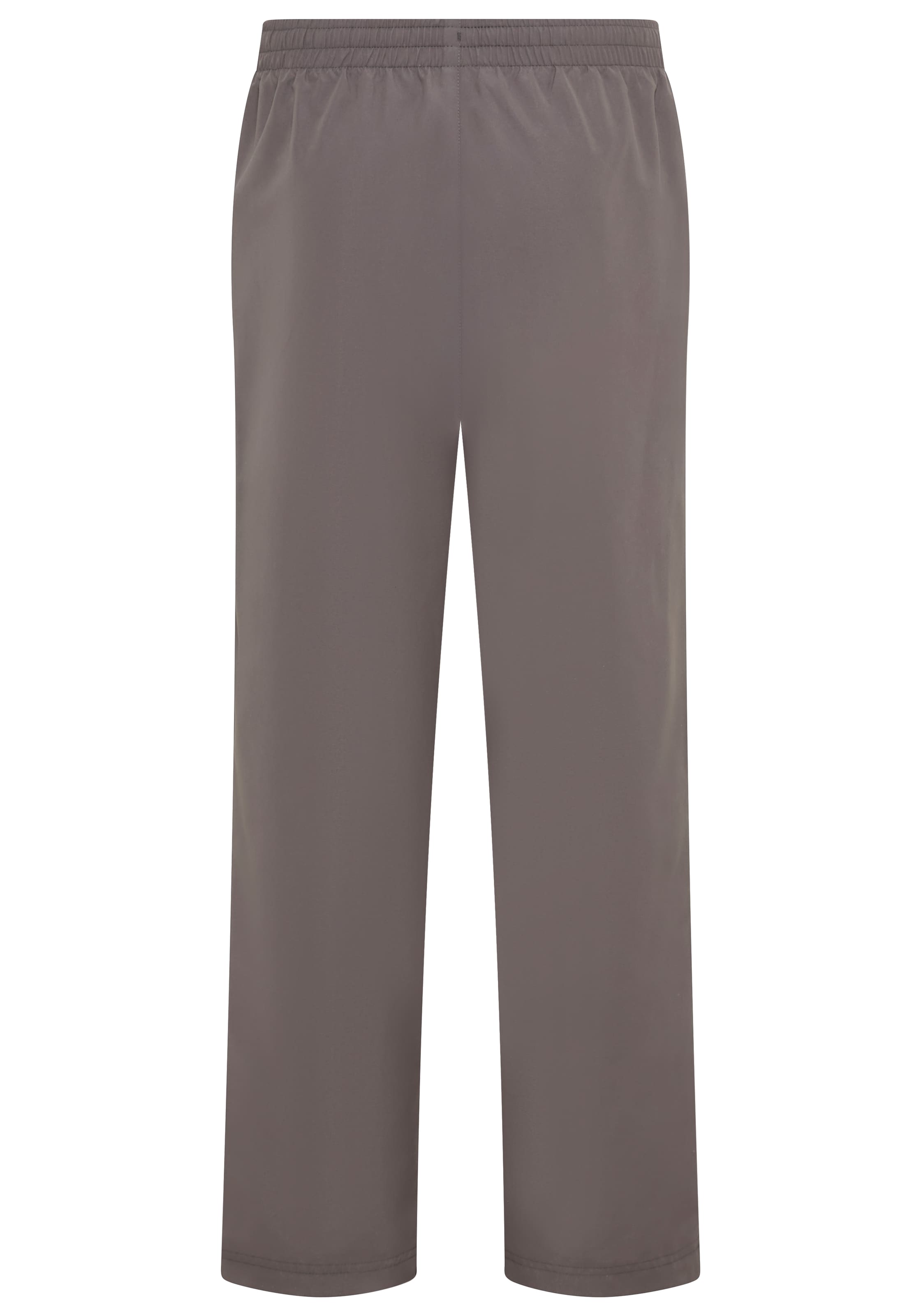 Bruno Banani Regular Pants in Grey