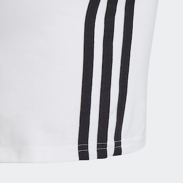 balta ADIDAS ORIGINALS Marškinėliai 'Adicolor '