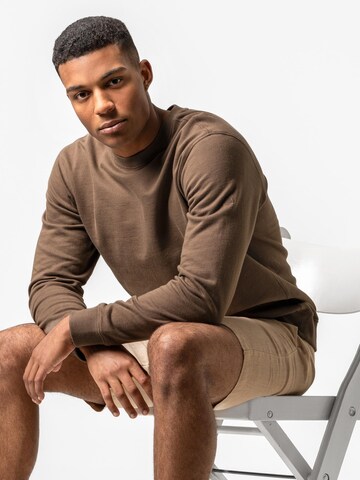 Living Crafts Pullover 'SALVO'‌‌‌‌‌‌‌‌ in Braun