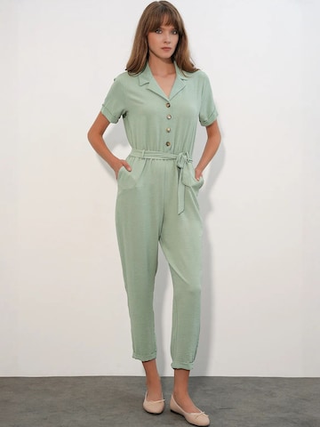 Bigdart Jumpsuit in Green: front