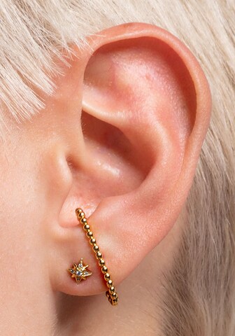 Thomas Sabo Earrings in Gold