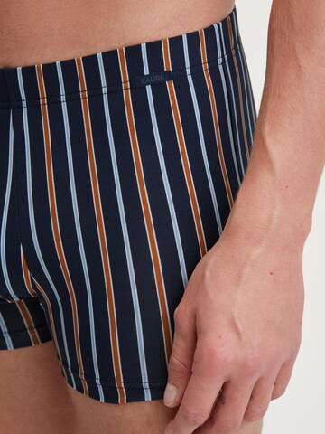 CALIDA Boxershorts 'Grafic Cotton'‌‌‌ in Braun