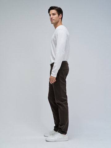 Salsa Jeans Slim fit Chino Pants in Brown