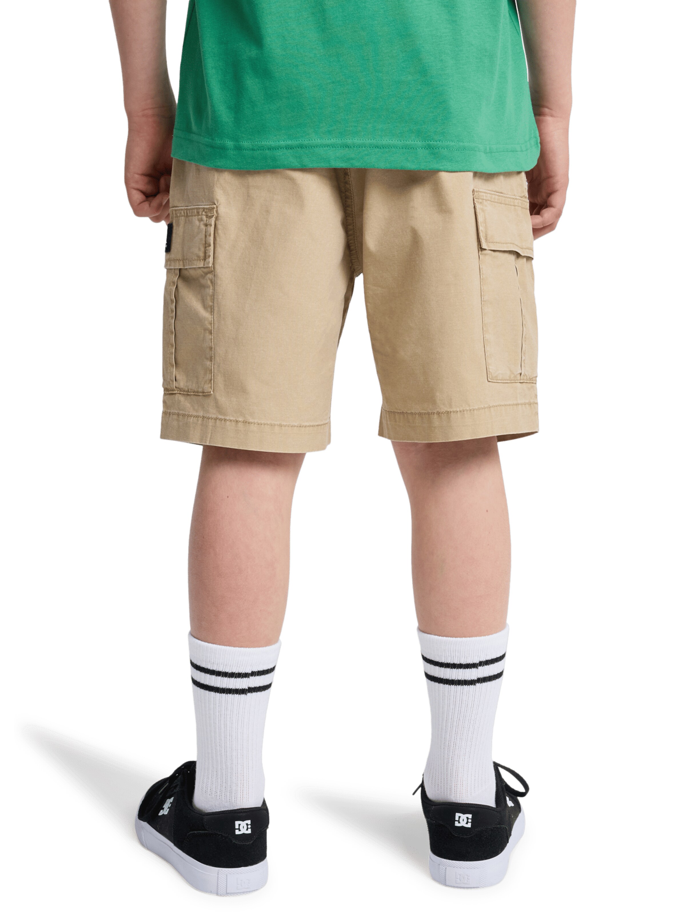 QUIKSILVER Regular Pants 'Taxer' in Beige