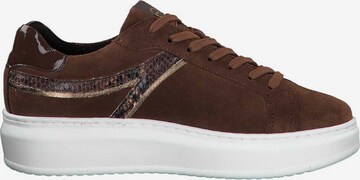 TAMARIS Sneakers in Brown