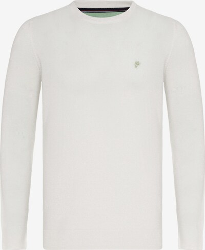 DENIM CULTURE Sweter 'LEVIN' w kolorze kamień / białym, Podgląd produktu