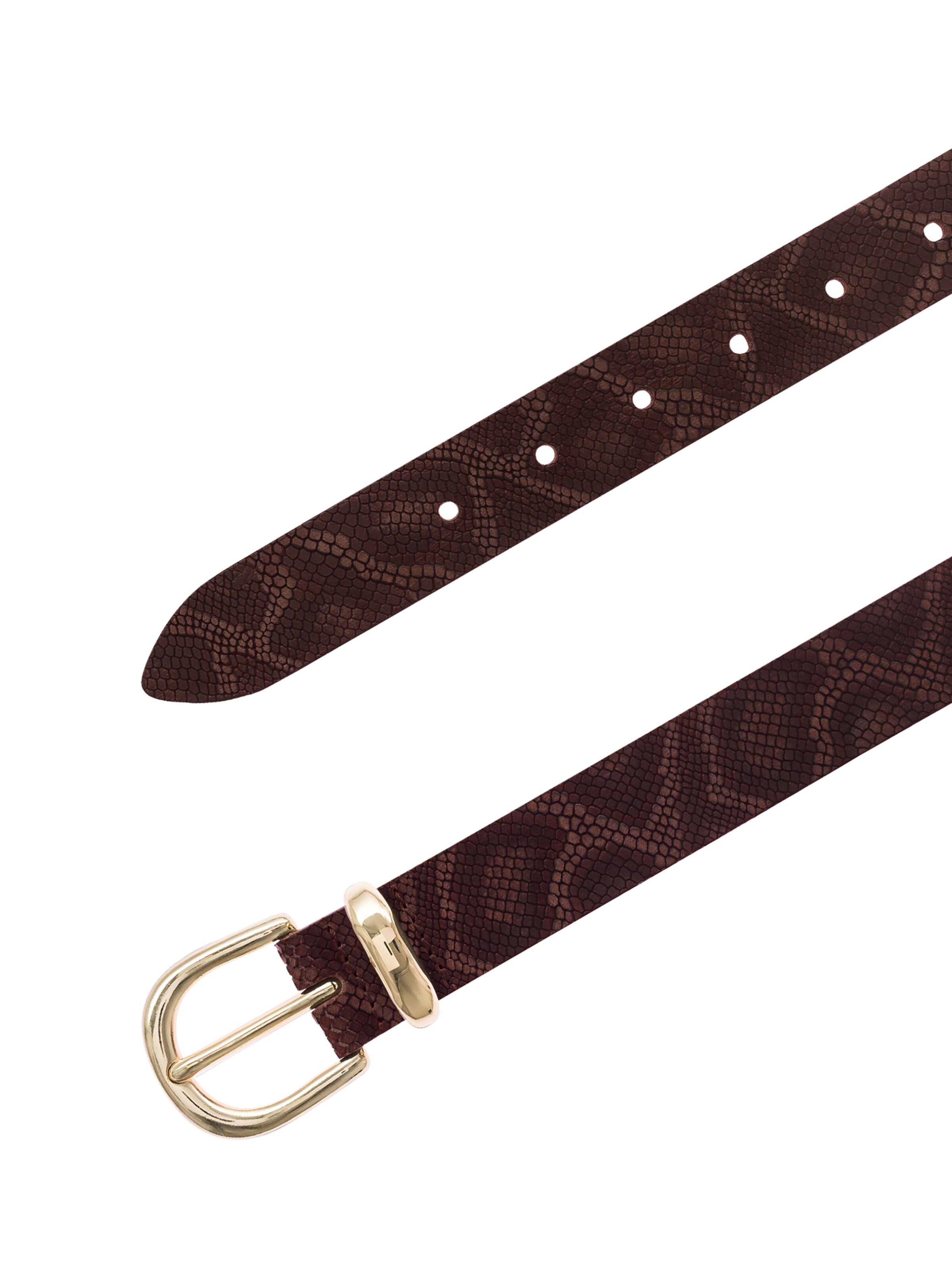 VANZETTI - Cinturón en marrón