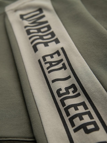 Ombre Sweatshirt 'OM-SSNZ-0200' in Groen