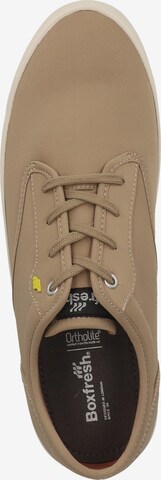 BOXFRESH Sneakers in Beige