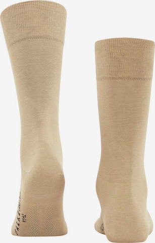 FALKE Socks in Beige